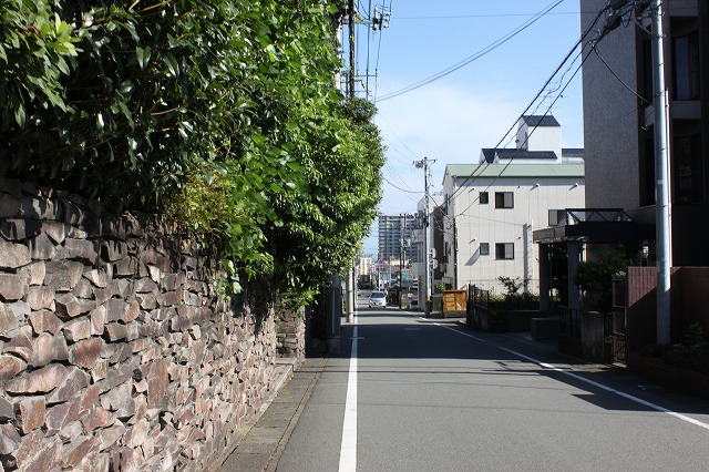 静岡県三島市のやたらきれいな川で川遊びしてきた