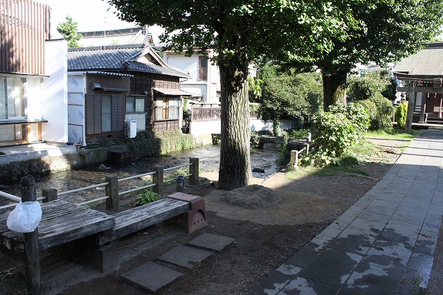 静岡県三島市のやたらきれいな川で川遊びしてきた