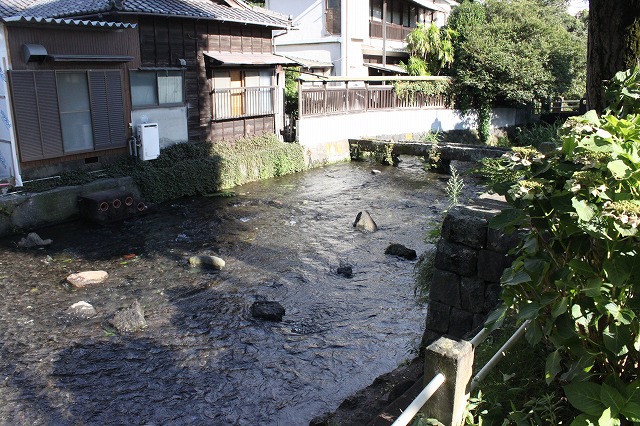 静岡県三島市のやたらきれいな川で川遊びしてきた