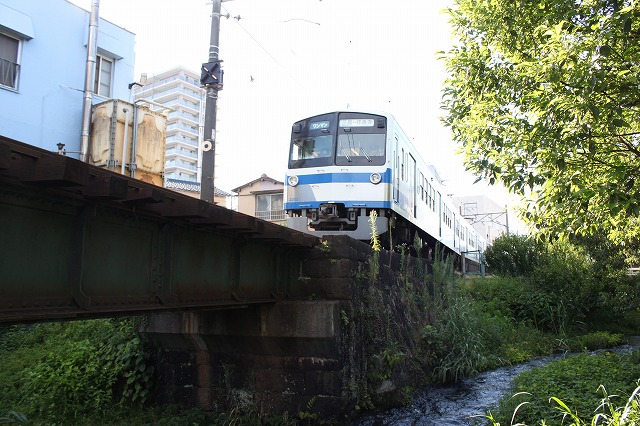 静岡県三島市のやたらきれいな川で川遊びしてきた