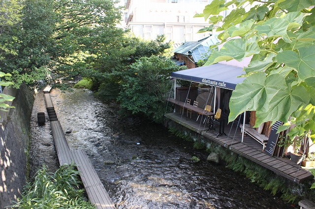 静岡県三島市のやたらきれいな川で川遊びしてきた