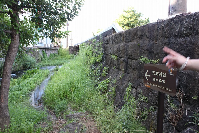 静岡県三島市のやたらきれいな川で川遊びしてきた