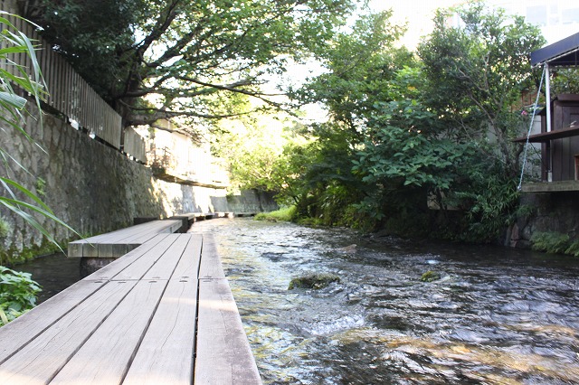 静岡県三島市のやたらきれいな川で川遊びしてきた