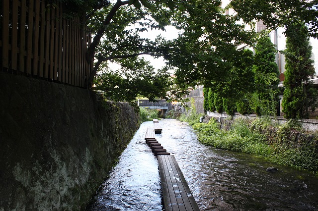 静岡県三島市のやたらきれいな川で川遊びしてきた