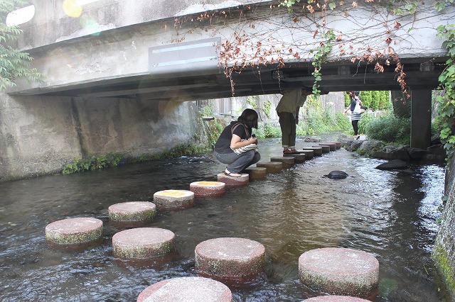 静岡県三島市のやたらきれいな川で川遊びしてきた