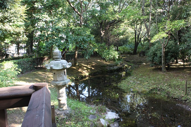 静岡県三島市のやたらきれいな川で川遊びしてきた