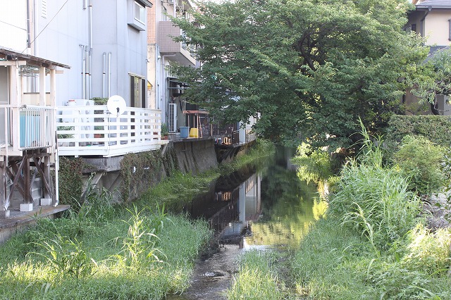 静岡県三島市のやたらきれいな川で川遊びしてきた