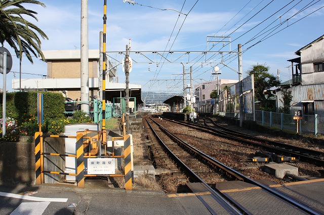 静岡県三島市のやたらきれいな川で川遊びしてきた