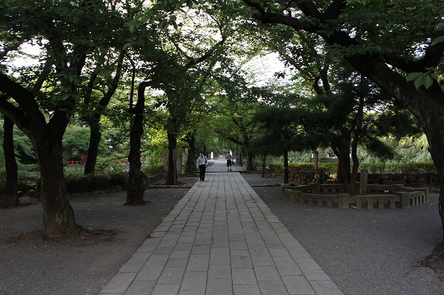 静岡県三島市のやたらきれいな川で川遊びしてきた