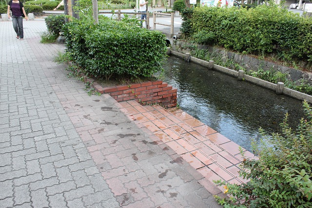 静岡県三島市のやたらきれいな川で川遊びしてきた