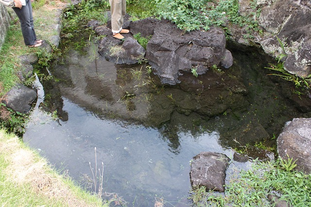 静岡県三島市のやたらきれいな川で川遊びしてきた