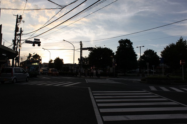 静岡県三島市のやたらきれいな川で川遊びしてきた