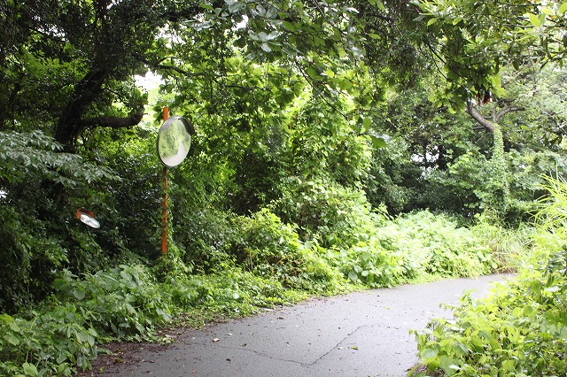 田代島の素敵なカーブミラー画像だよ