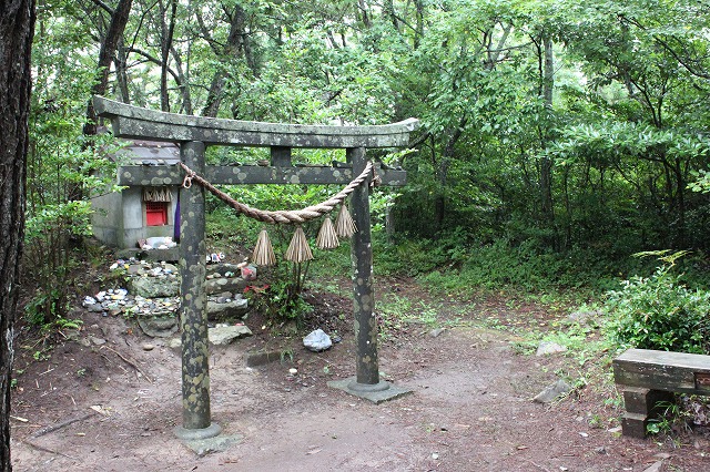 田代島の猫神社の画像だよ