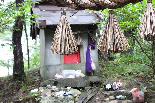 もう一枚田代島の猫神社の画像だよ