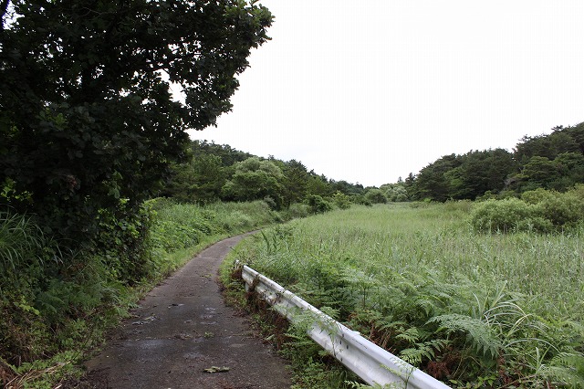 田代島の素敵道な画像だよ