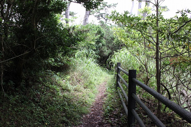 田代島の険しい道画像だよ