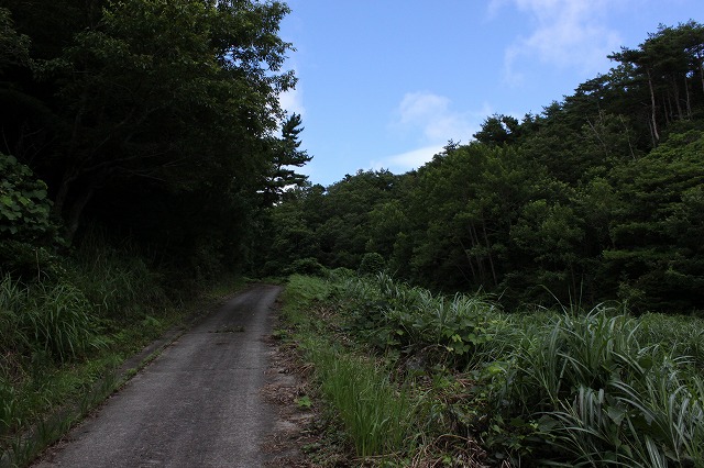 田代島の港画像だよ