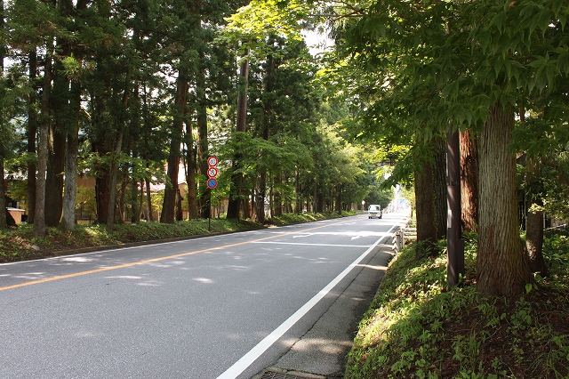 日光の杉並木写真