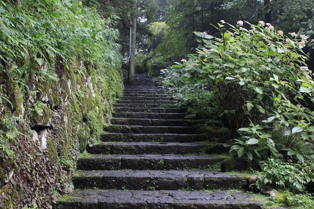 日光のぬれた階段。写真