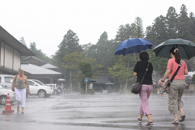 日光の雨つよい写真