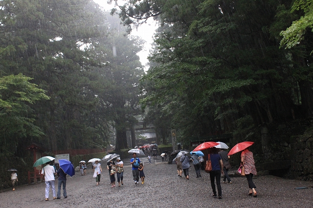 日光の雨がますますつよくなる写真