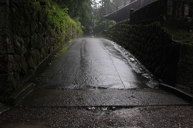 日光の雨と小道。写真