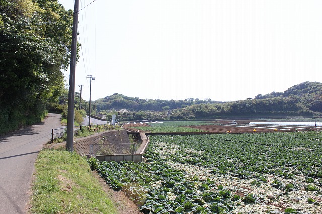 三浦海岸、「XJAPAN hideのお墓参り」道道