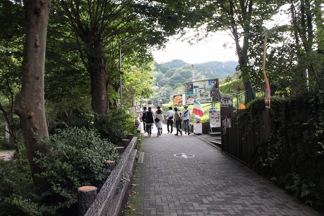 登山者数世界一、「高尾山」の自然研究路6号路を歩いてきた。_0105.jpg