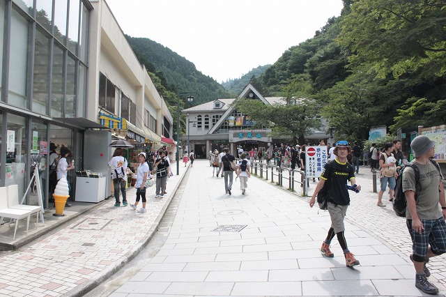 登山者数世界一、「高尾山」の自然研究路6号路を歩いてきた。_0125.jpg