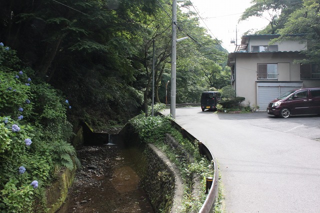 登山者数世界一、「高尾山」の自然研究路6号路を歩いてきた。_0139.jpg