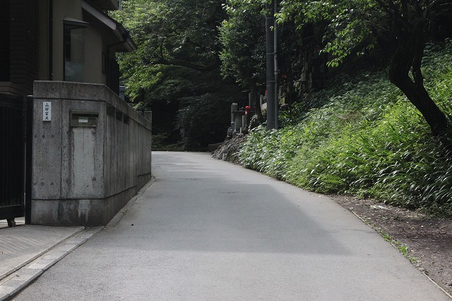 登山者数世界一、「高尾山」の自然研究路6号路を歩いてきた。_0152.jpg