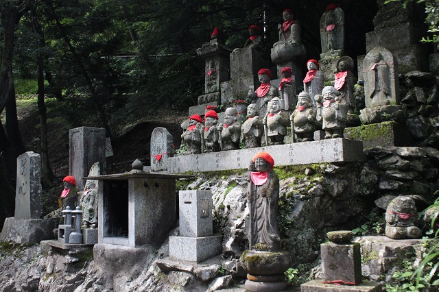 登山者数世界一、「高尾山」の自然研究路6号路を歩いてきた。_0154.jpg