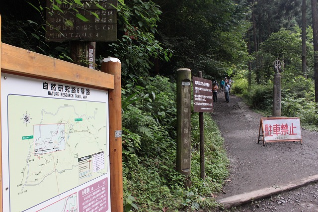 登山者数世界一、「高尾山」の自然研究路6号路を歩いてきた。_0159.jpg