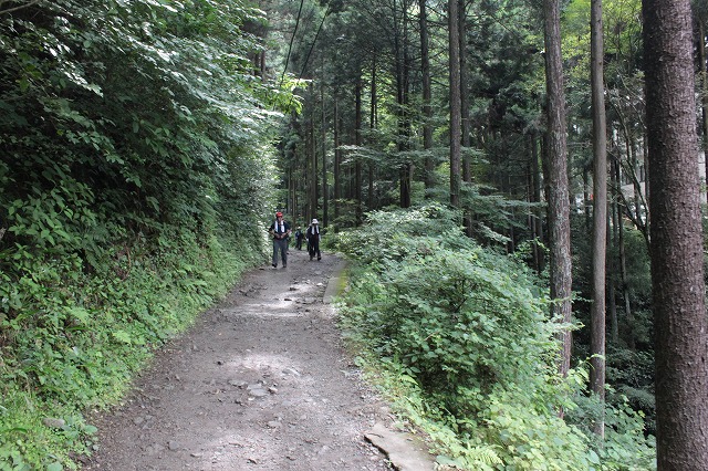 登山者数世界一、「高尾山」の自然研究路6号路を歩いてきた。_0163.jpg