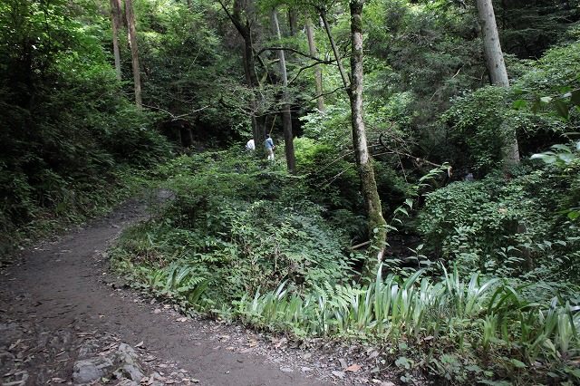 登山者数世界一、「高尾山」の自然研究路6号路を歩いてきた。_0167.jpg