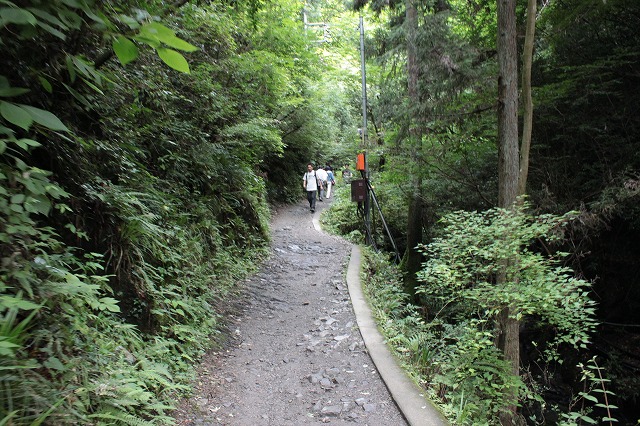 登山者数世界一、「高尾山」の自然研究路6号路を歩いてきた。_0174.jpg