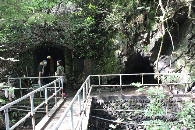 登山者数世界一、「高尾山」の自然研究路6号路を歩いてきた。_0180.jpg