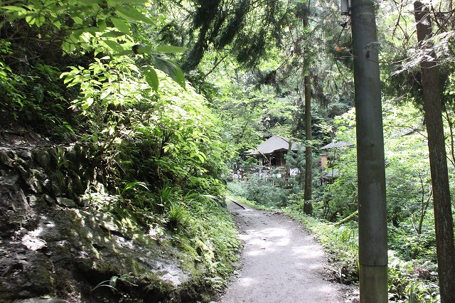 登山者数世界一、「高尾山」の自然研究路6号路を歩いてきた。_0190.jpg