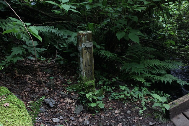 登山者数世界一、「高尾山」の自然研究路6号路を歩いてきた。_0297.jpg