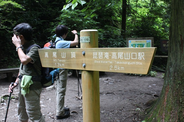 登山者数世界一、「高尾山」の自然研究路6号路を歩いてきた。_0299.jpg