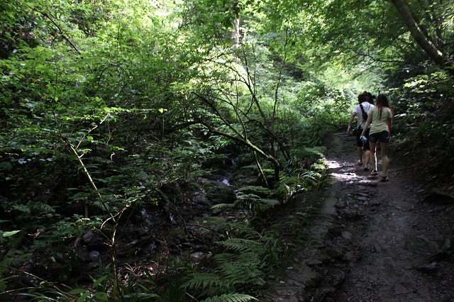 登山者数世界一、「高尾山」の自然研究路6号路を歩いてきた。_0309.jpg