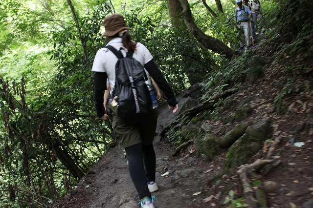 登山者数世界一、「高尾山」の自然研究路6号路を歩いてきた。_0332.jpg