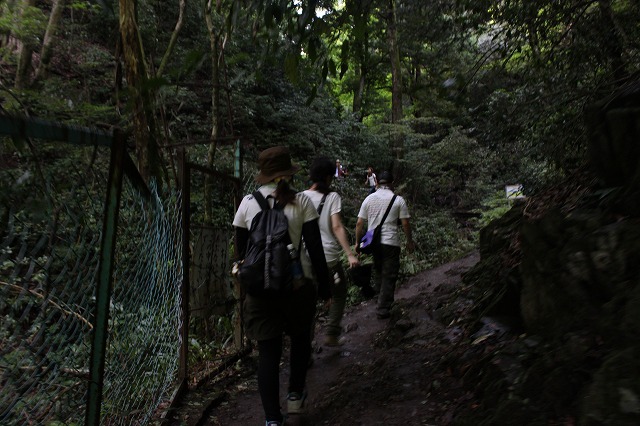 登山者数世界一、「高尾山」の自然研究路6号路を歩いてきた。_0345.jpg