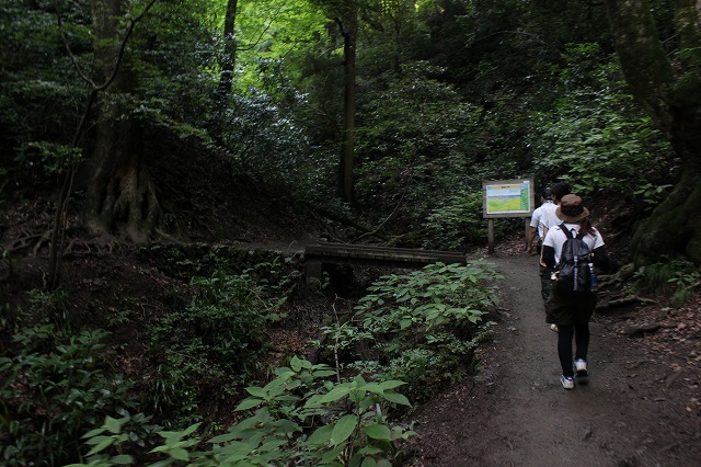 登山者数世界一、「高尾山」の自然研究路6号路を歩いてきた。_0347.jpg