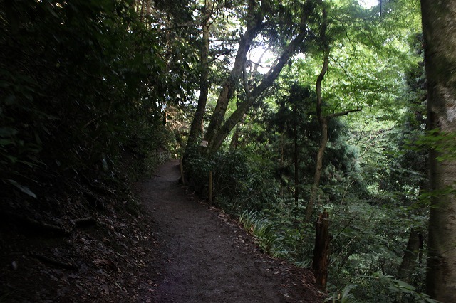 登山者数世界一、「高尾山」の自然研究路6号路を歩いてきた。_0375.jpg