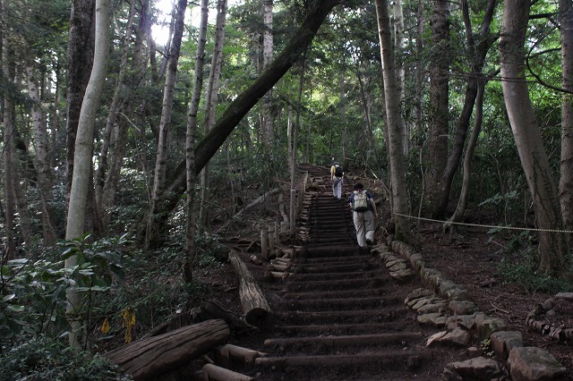登山者数世界一、「高尾山」の自然研究路6号路を歩いてきた。_0379.jpg