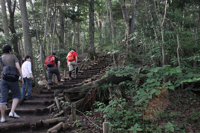 登山者数世界一、「高尾山」の自然研究路6号路を歩いてきた。_0386.jpg