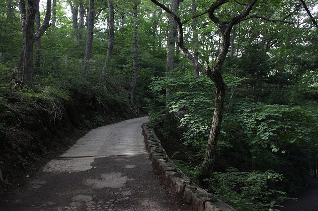 登山者数世界一、「高尾山」の自然研究路6号路を歩いてきた。_0401.jpg