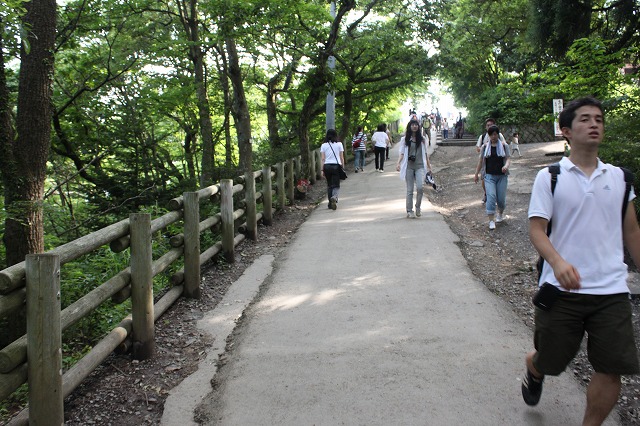 登山者数世界一、「高尾山」の自然研究路6号路を歩いてきた。_0412.jpg